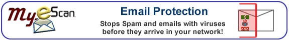 Website Hosting