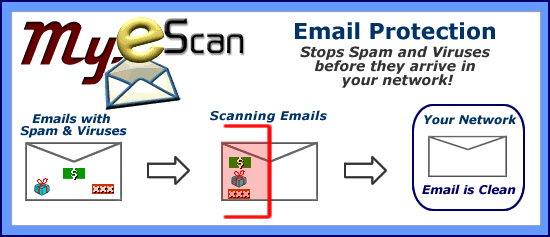 Website Hosting